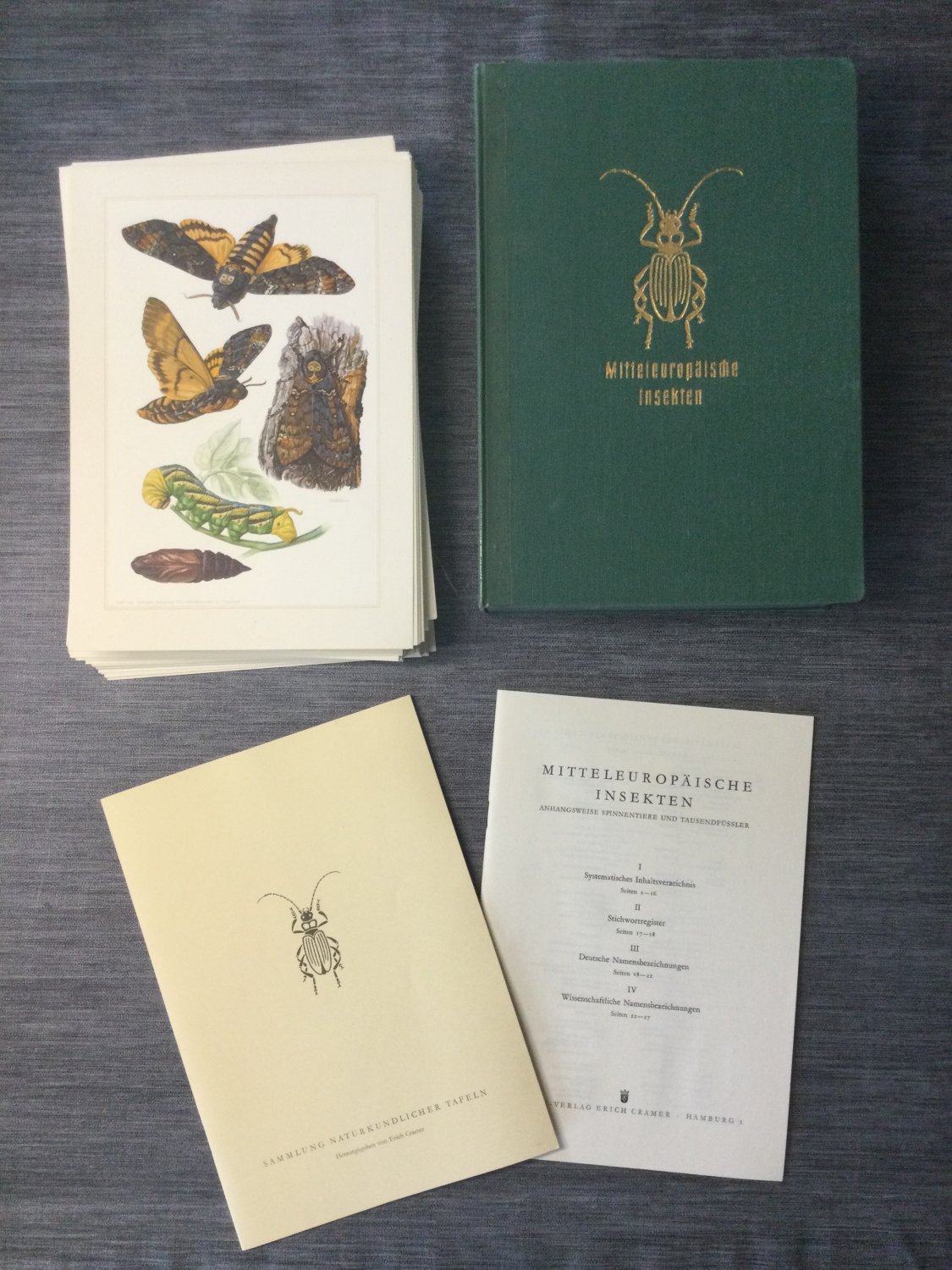 洋書 SAMMLUNG NATURKUNDLICHER TAFELN 4 Bände. Sammlung naturkundlicher Tafeln | Barnebys